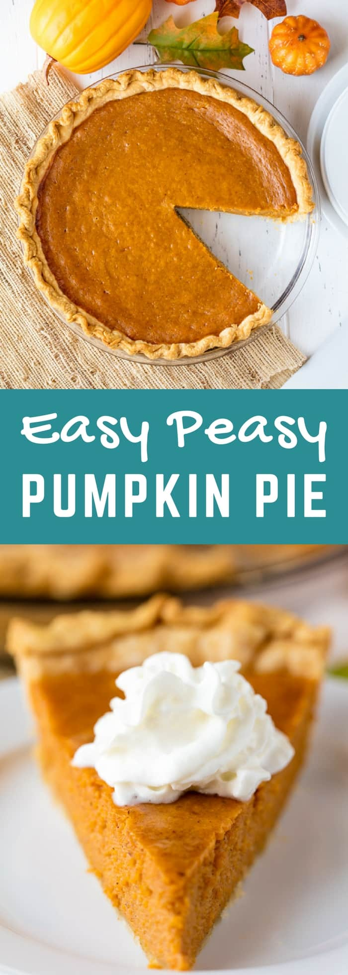 Easy Peasy Pumpkin Pie - Easy Peasy Pumpkin Pie -   25 pumpkin pie recipe easy homemade ideas