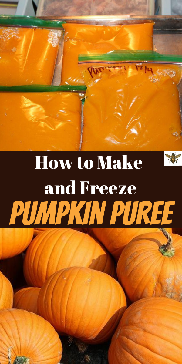 How to Make and Freeze Homemade Pumpkin Puree - How to Make and Freeze Homemade Pumpkin Puree -   25 pumpkin pie recipe easy homemade ideas