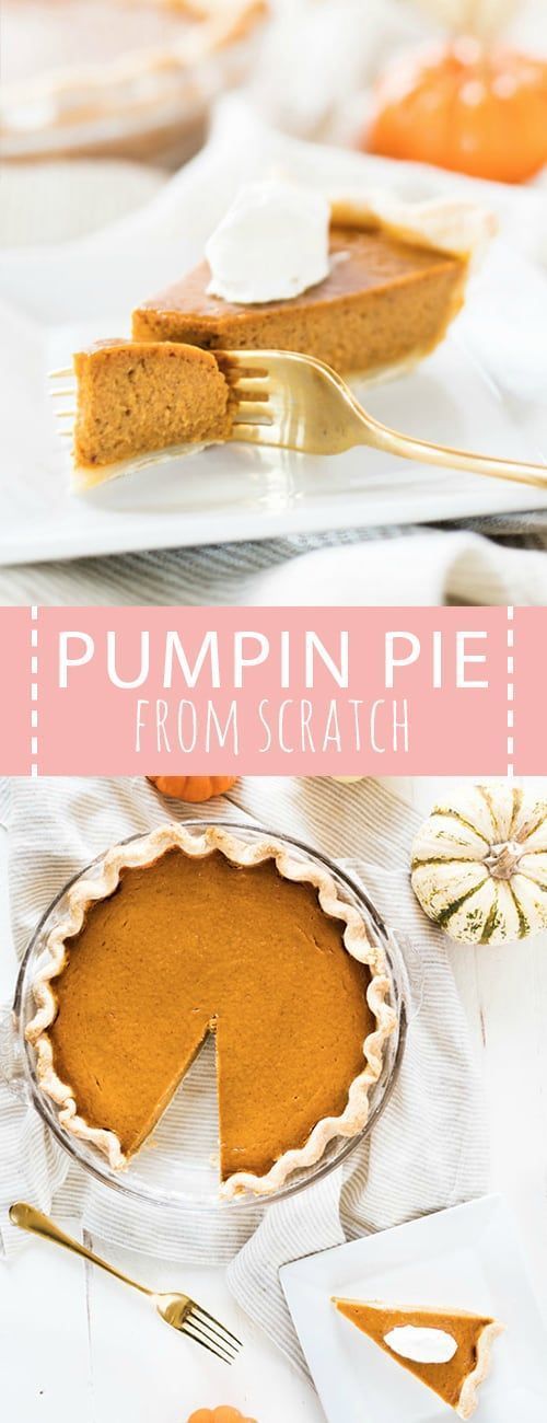 Best Pumpkin Pie From Scratch - Spoonful of Flavor - Best Pumpkin Pie From Scratch - Spoonful of Flavor -   25 pumpkin pie recipe easy homemade ideas