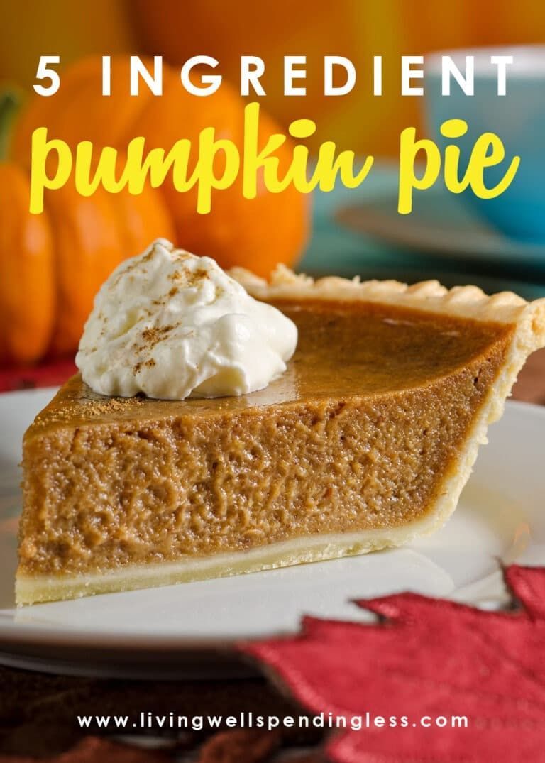 Easy 5 Ingredient Pumpkin Pie | Best Homemade Pumpkin Pie Recipe - Easy 5 Ingredient Pumpkin Pie | Best Homemade Pumpkin Pie Recipe -   25 pumpkin pie recipe easy homemade ideas