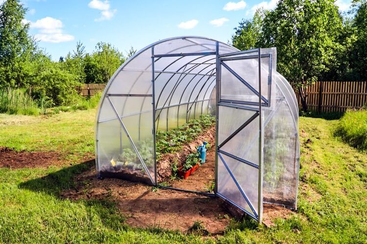 How to make a garden greenhouse to protect plants? DIY ideas with DIY instructions