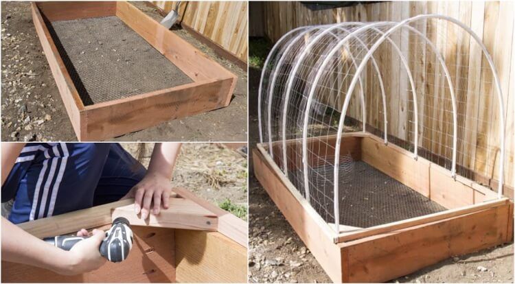 How to make a garden greenhouse to protect plants? DIY ideas with DIY instructions